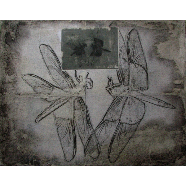 "Dragonfly Waltz #16 14" x 18" "Dragonfly Waltz #16 14" x 18"